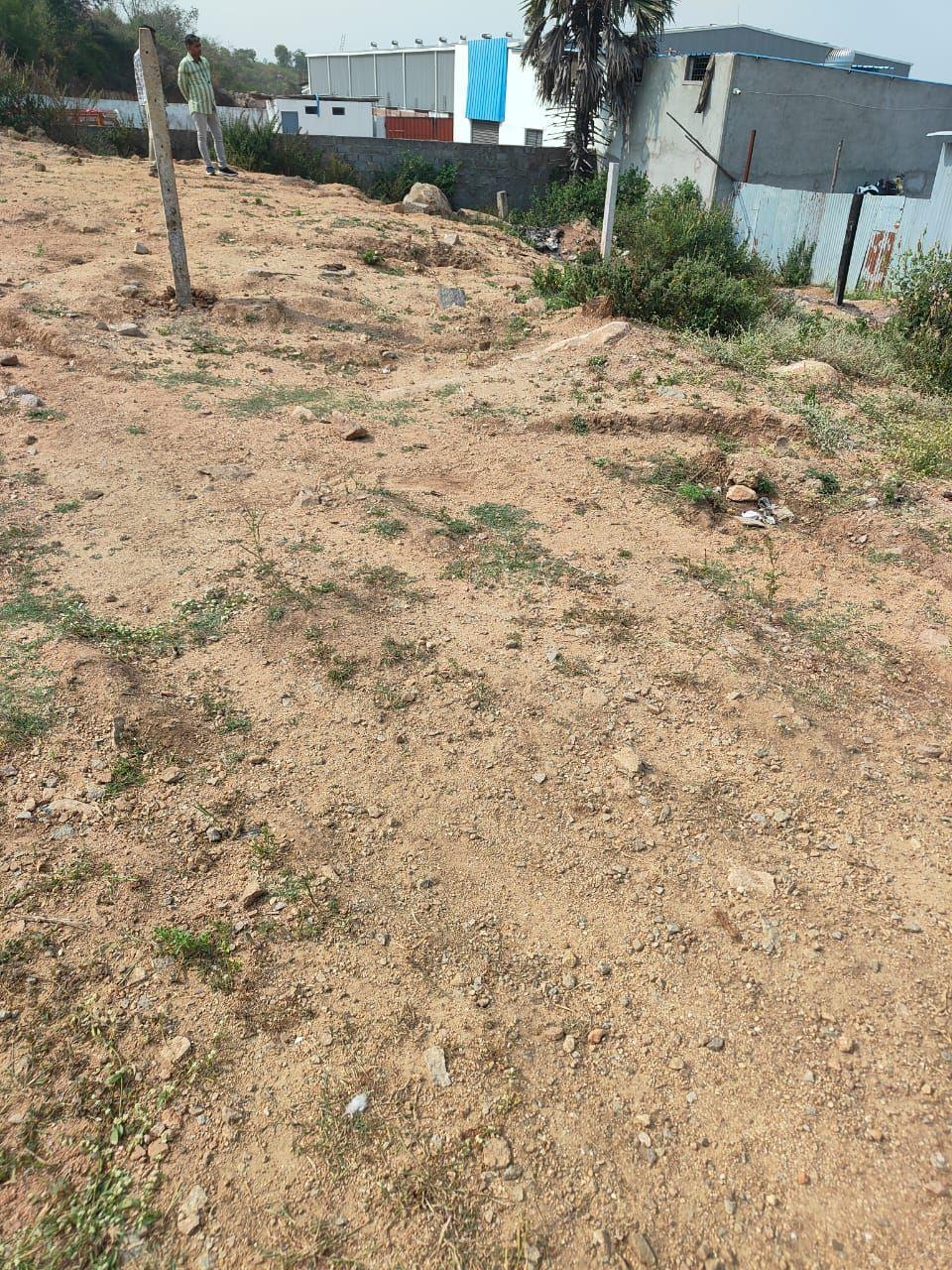 House image 1